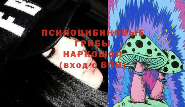 СК Абаза