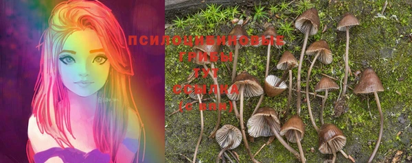 метадон Абинск