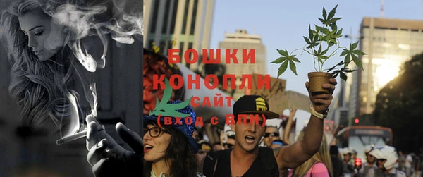 ПСИЛОЦИБИНОВЫЕ ГРИБЫ Абдулино