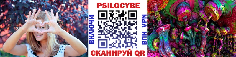 Псилоцибиновые грибы мухоморы Алейск