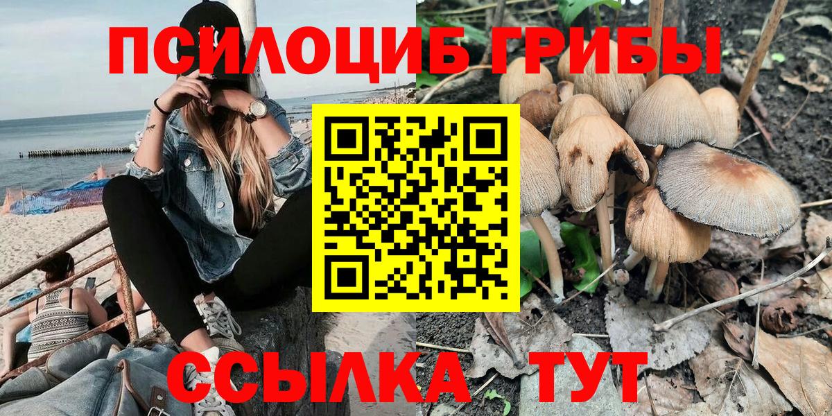 Алейск  Псилоцибиновые грибы мицелий  Псилоцибиновые грибы прущие грибы  Вход с VPN 